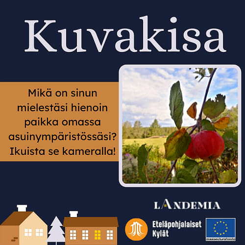 Landemian kuvakisa